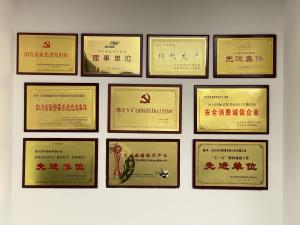 公司榮譽(yù)