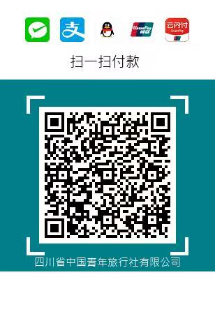 怎么網(wǎng)上支付？